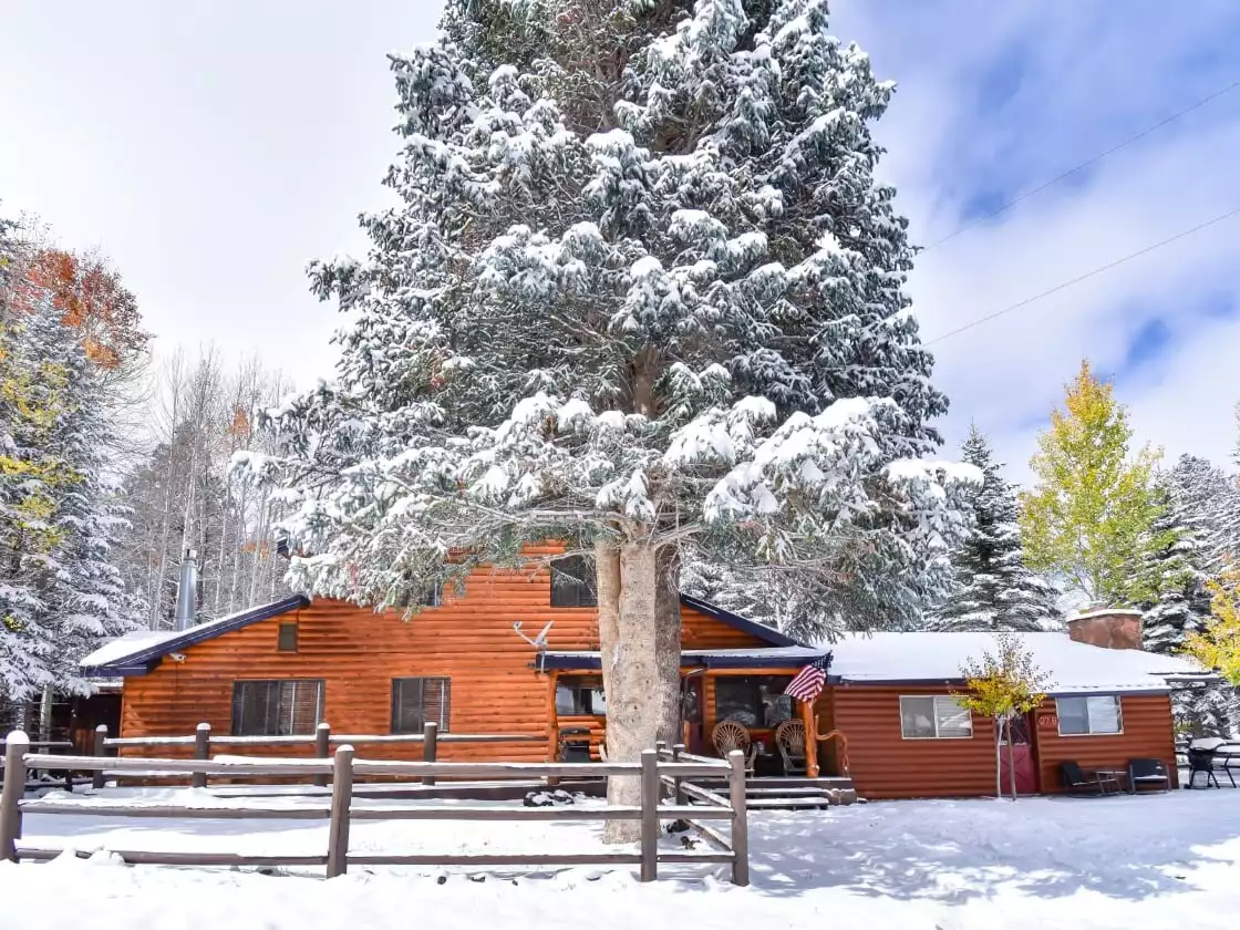 View of the Cottage and the attached but separate Cabin that can also be rented
