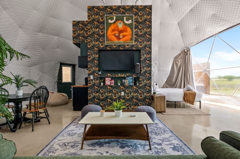 Stylish geodesic dome with designer decor, big TV, and bright lounge space