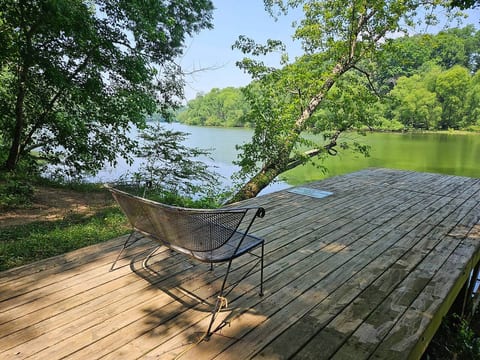 The gentle Collins river never gets old - flowing straight from the base of Monteagle & other mountains further east. Deep water, boat navigable & a delightful place to swim