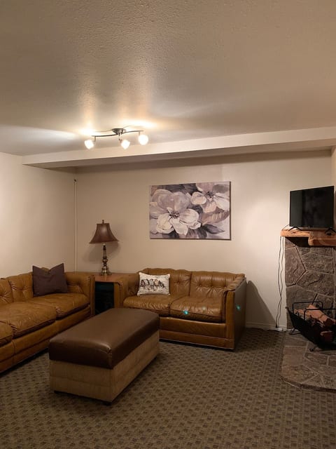 Basement Living room.