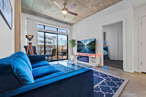 TV and Fireplace