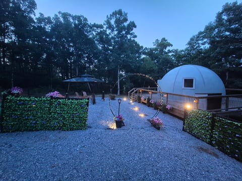 parking area view of the dome and shade pergola