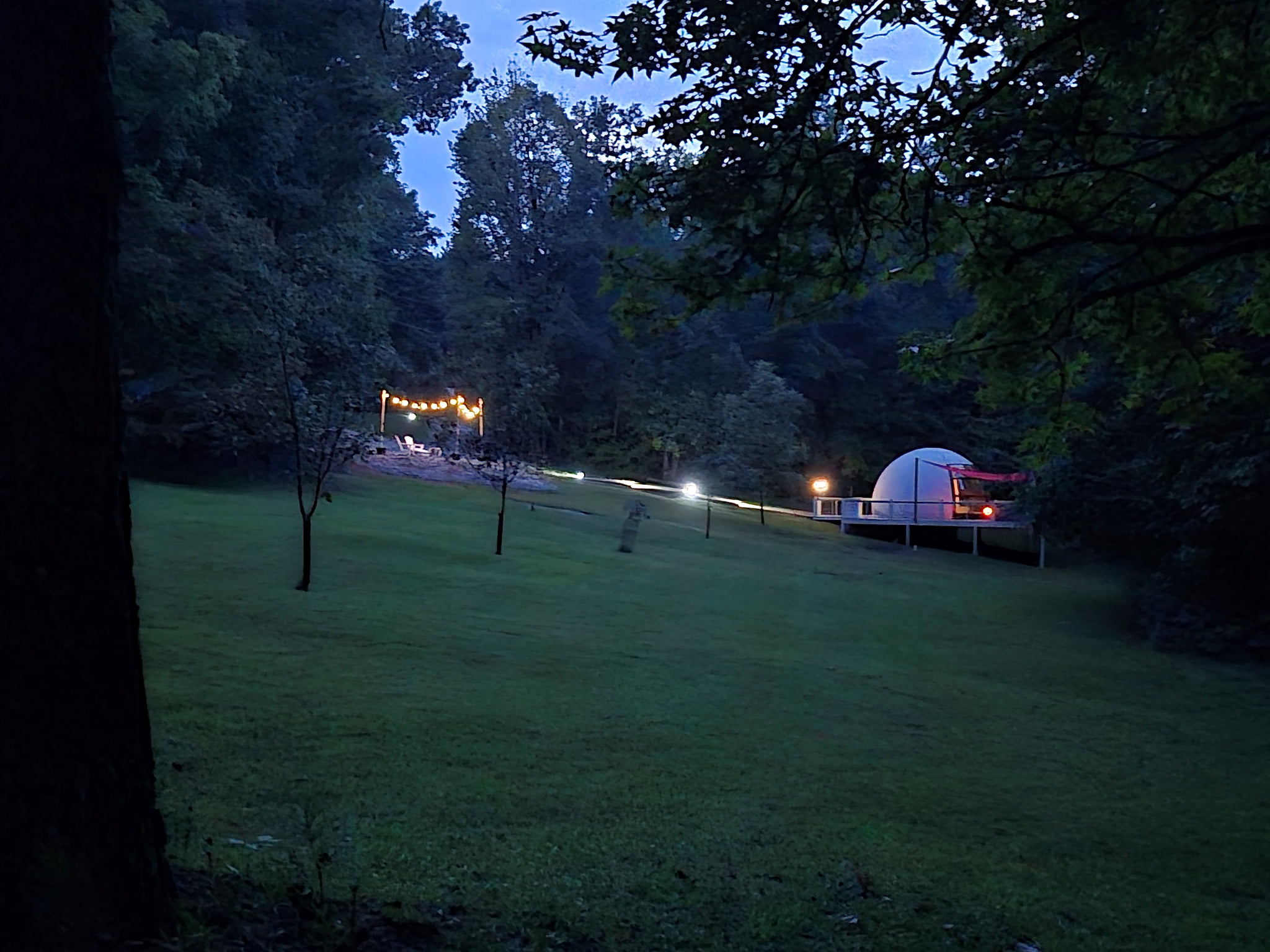 Whispering Woods