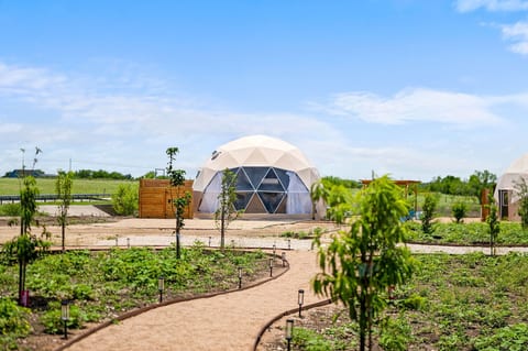 Stargazer Dome Retreat - Holiday Home