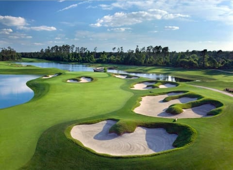 An official Walt Disney World hotel