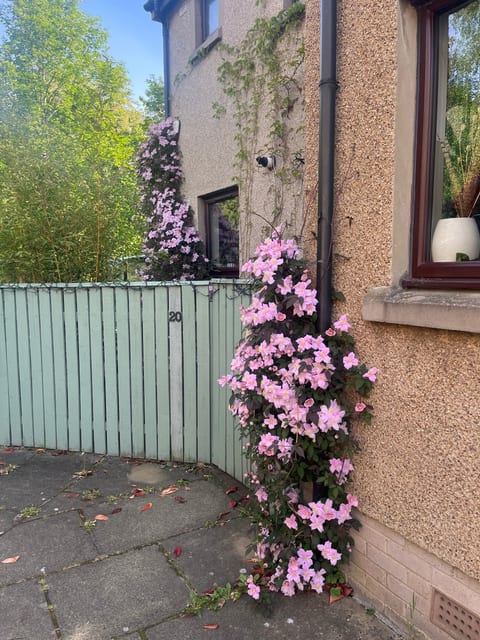 Riverside terrace house and garden
