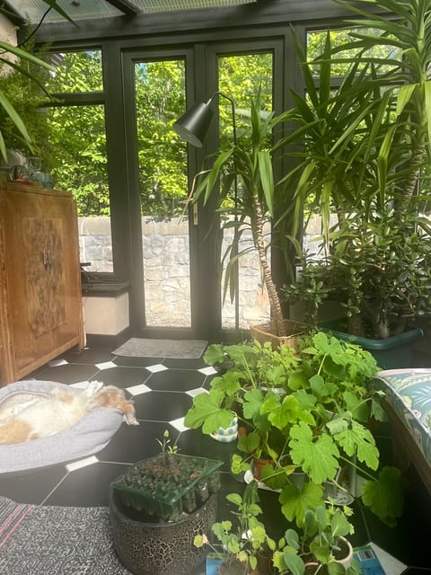 Riverside terrace house and garden