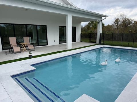 Pool on back of the house