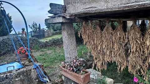 neighbor's fabes drying
