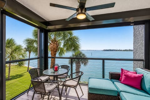 Waterfront Sunrise · Dolphin Views · Beach Gear