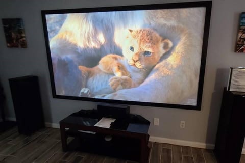 Projector Screen