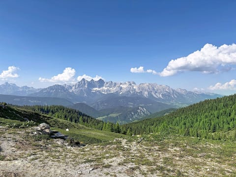 View