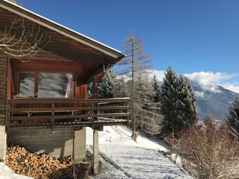 Ferienhaus Arnika, (Valens),