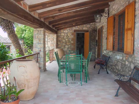 Olivo secolare