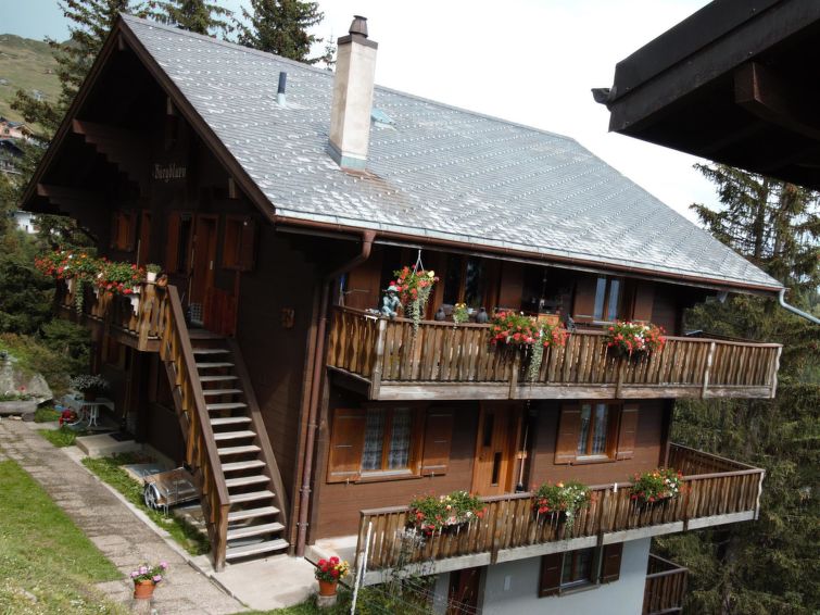 House House - Bärgblüemli 1. OG Ost - Bettmeralp