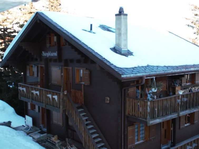 House House - Bärgblüemli 1. OG Ost - Bettmeralp