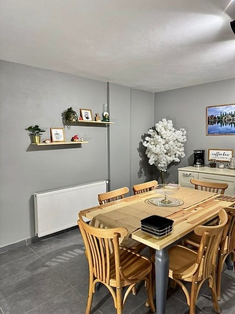 Modern Furnished Historical House