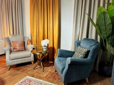 Modern Furnished Historical House