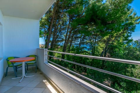 Apartments Zeljana on the beach - Unit 378848-13