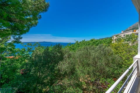 Apartments Zeljana on the beach - Unit 378848-13