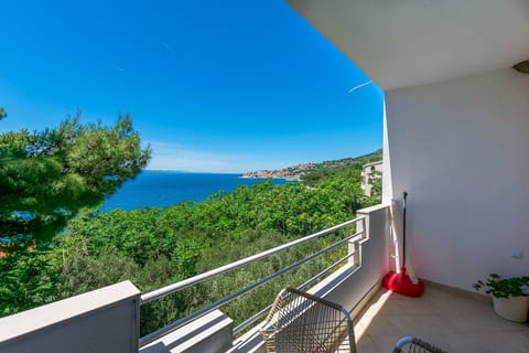 Apartments Zeljana on the beach - Unit 378849-13