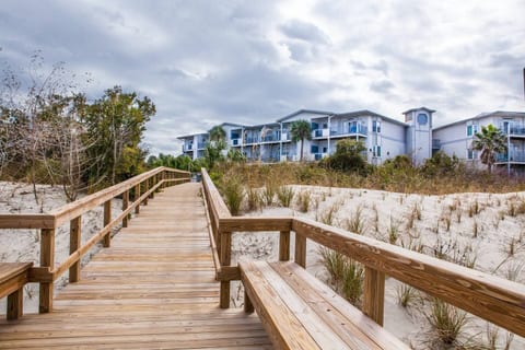 Tybee Island Oceanfront Condos, Pools, Dolphins
