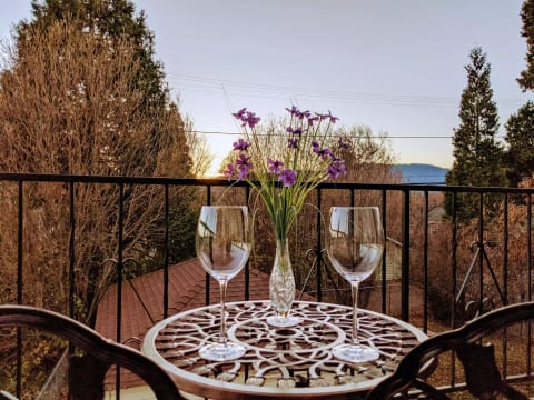 The balcony attached to the “Air” room overlooks the enclosed grassy/snowy backyard and the mountain vistas to the West. Don’t miss the fabulous sunset views towards Mount Eddy!