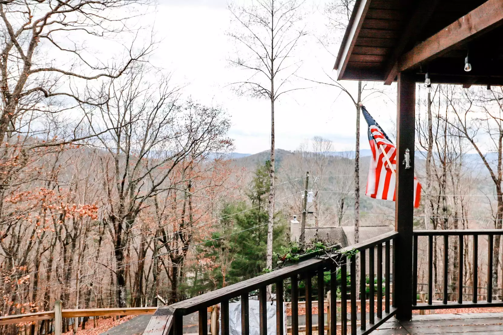 The Owl's Nest - Ellijay