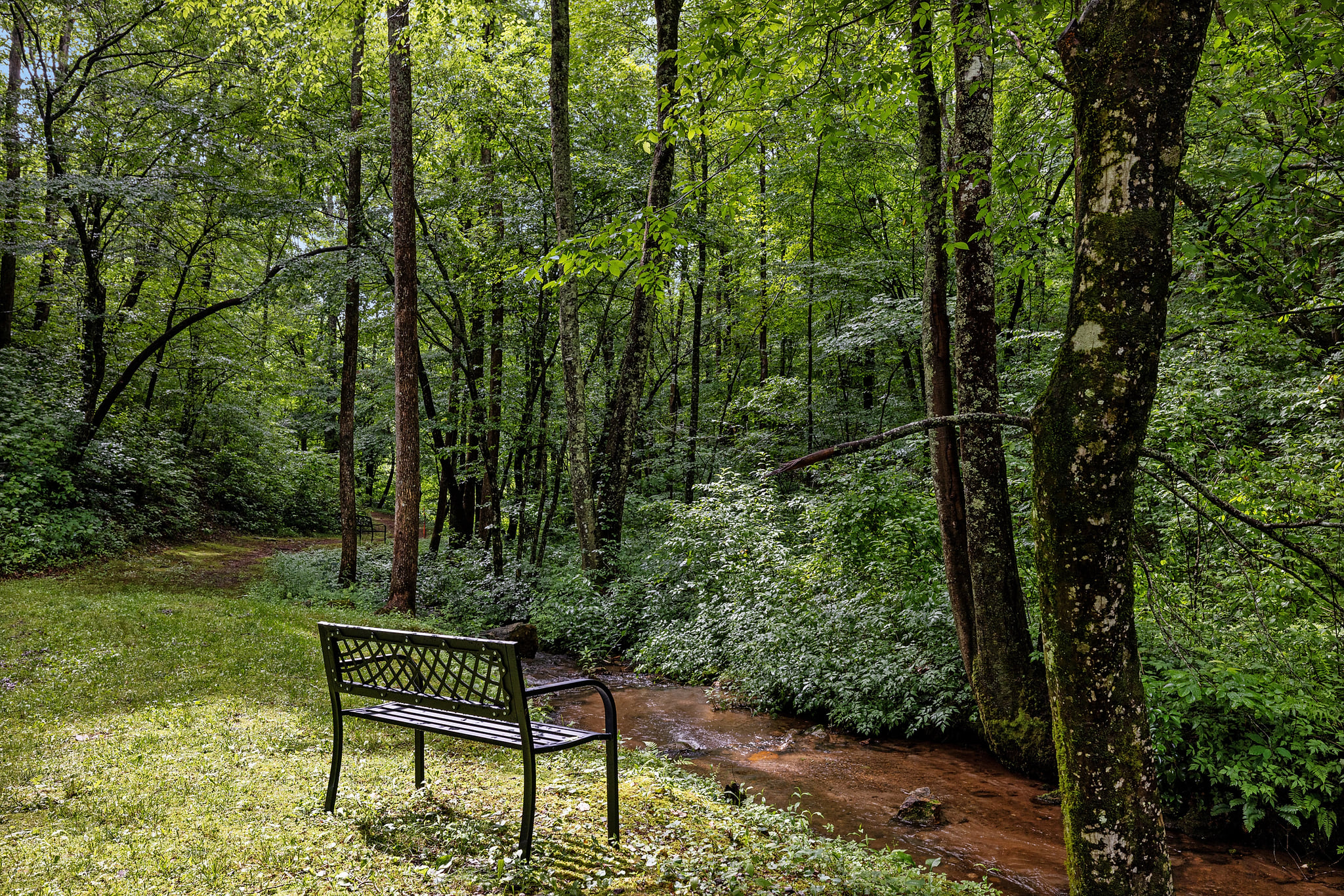 Bench by Creek