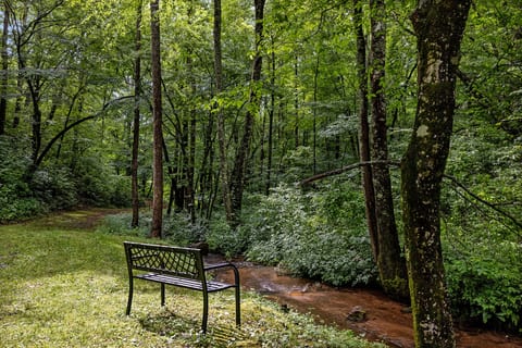 Bench by Creek