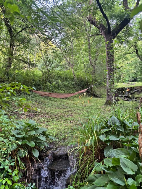 Hillbilly Hip•Historic•River•Private Prime Locale