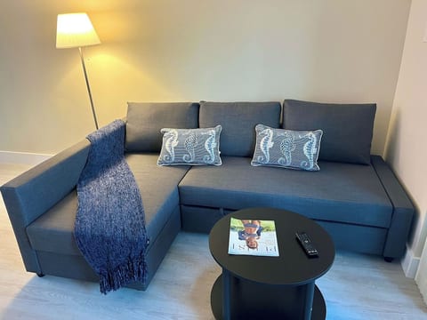 Couch that converts to full size sofa bed