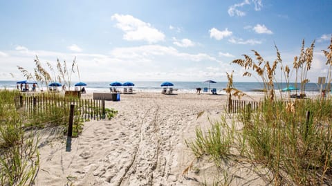 Directly on the Beach!