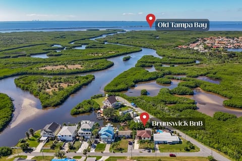 Quick access to Old Tampa Bay