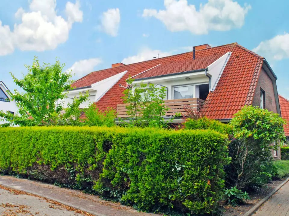 Scholle - Norden