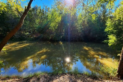 Enjoy the beautiful scenery and peaceful sounds of the river in our backyard. Take a stroll along the river bank or relax by the water's edge. Don't forget your fishing gear!