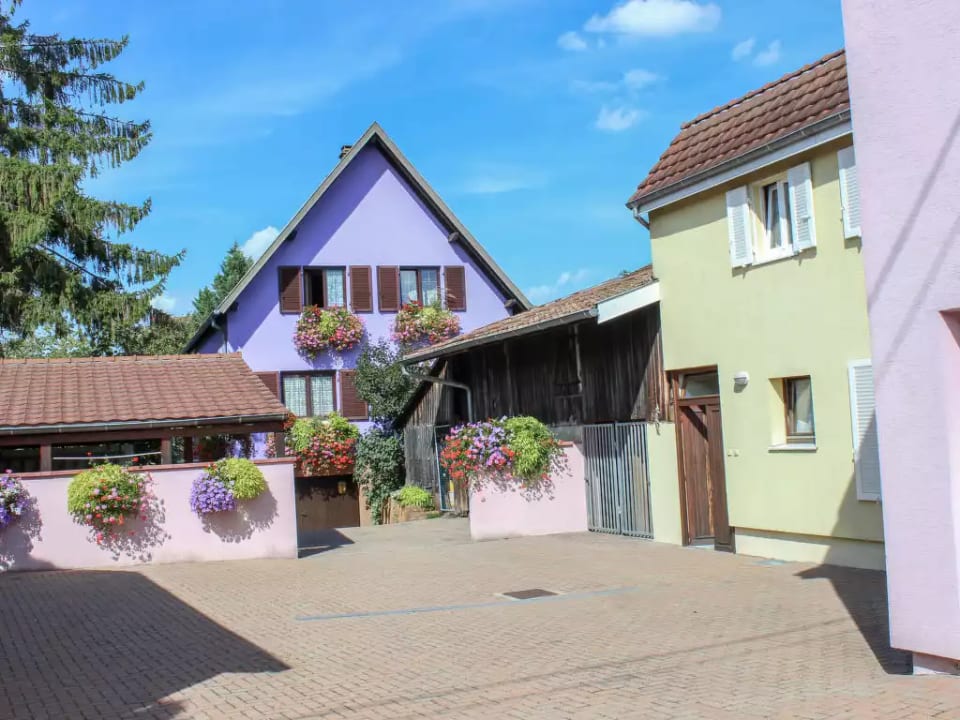 Résidence jaune et rose - Marckolsheim