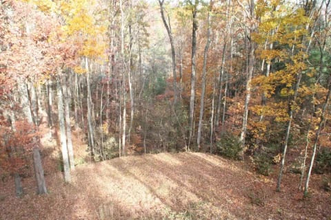 Tennessee Southern Belle Cabin
