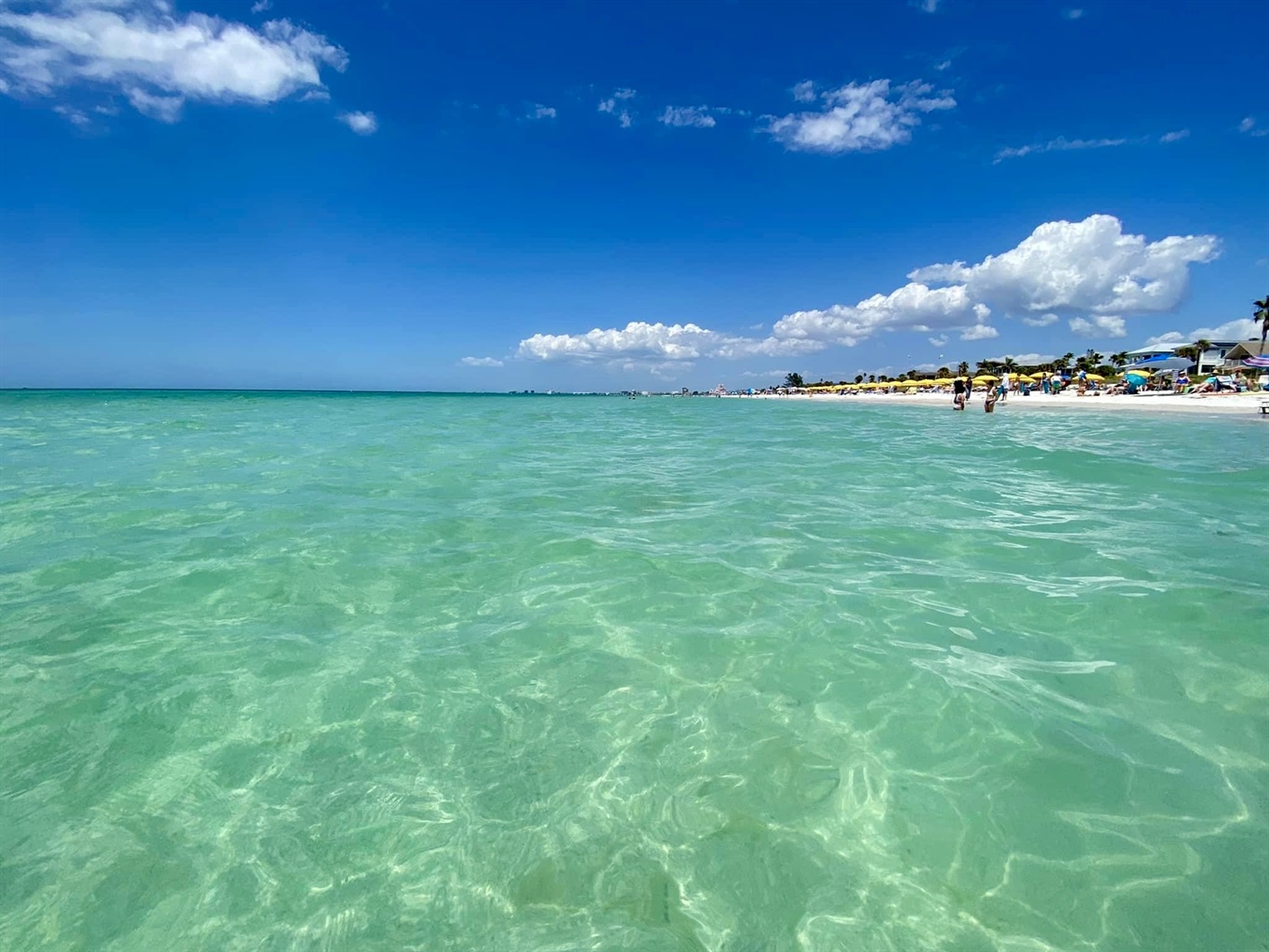 Sunset Paradise #5 - Indian Rocks Beach