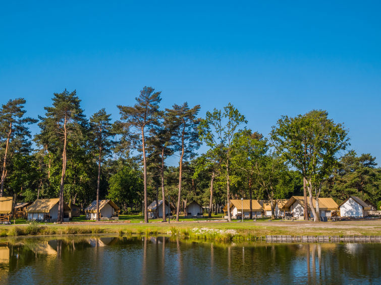 Aerial photography - Glampingtent Silver Lodge 4 - Mol