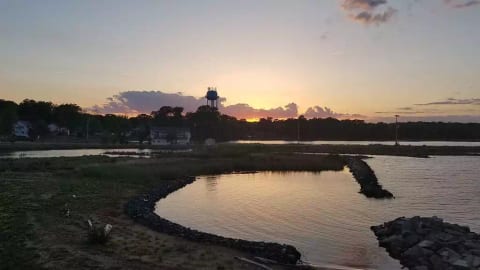 Sunset backyard