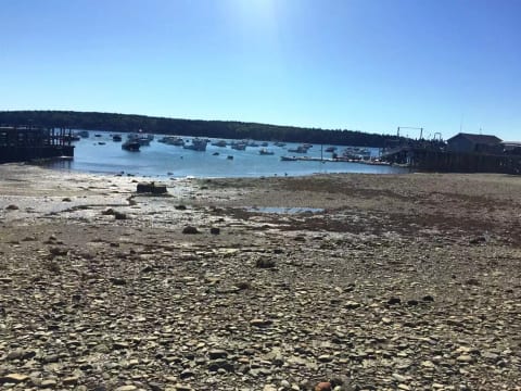 Owls Head harbor