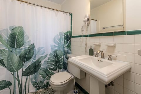 Centrally located 2 bed 1.5 bath entire house