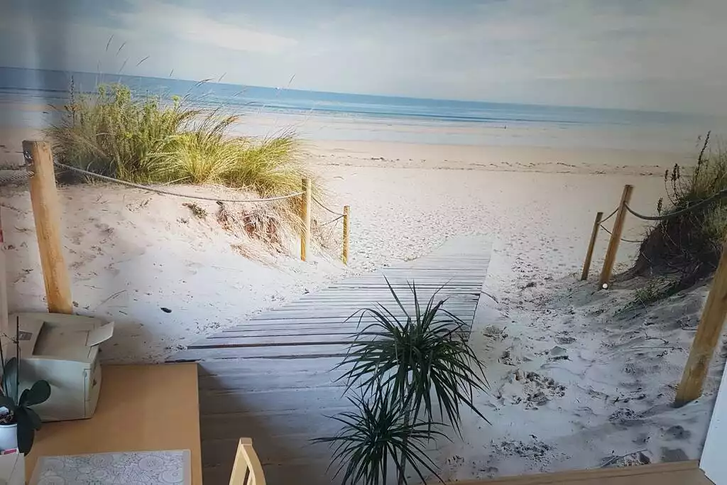 Beach View :-) - Small but very cosy room in 4-room apartment - Heidelberg