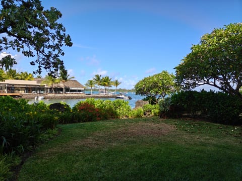 Ocean view