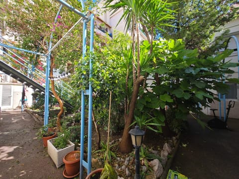 La casetta verde