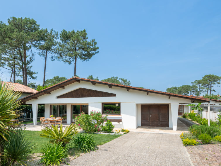 roitelet/