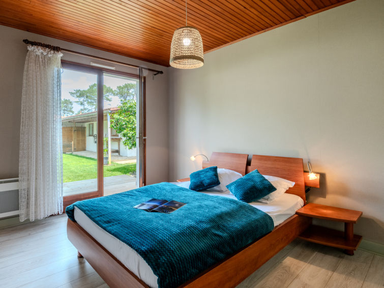 roitelet/