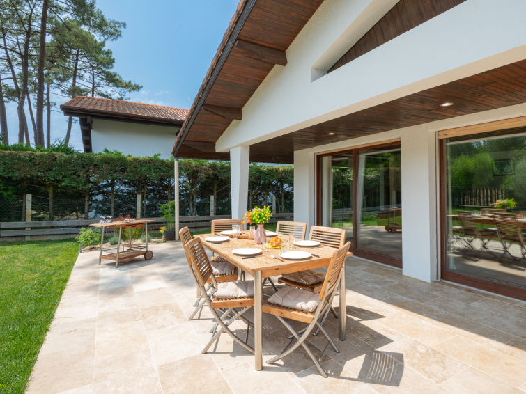 roitelet/