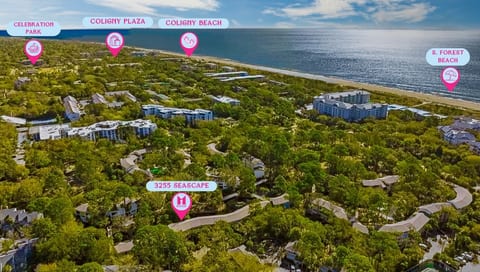 Seascape: Steps from South Forest Beach’s Top Attractions